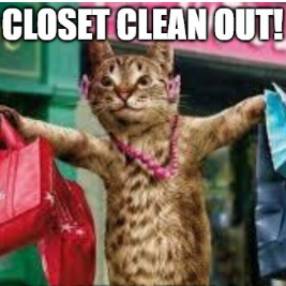 Closet Cleanout - Picture 3 of 3